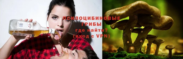 ECSTASY Армянск