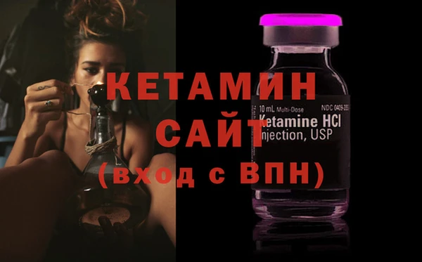 СК Пересвет