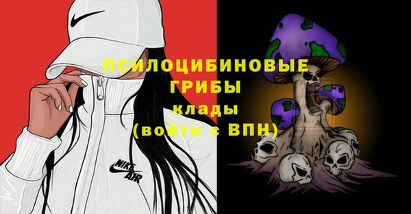 первитин Арсеньев