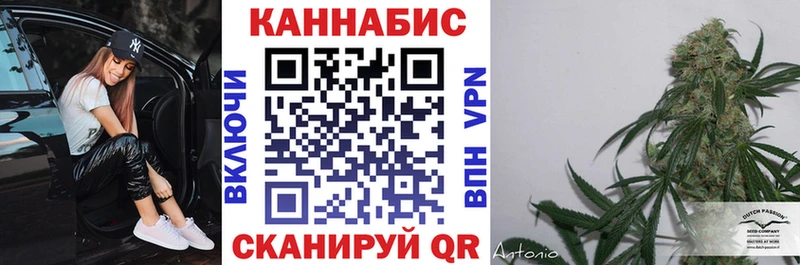 купить наркоту  Сосенский  Каннабис планчик 